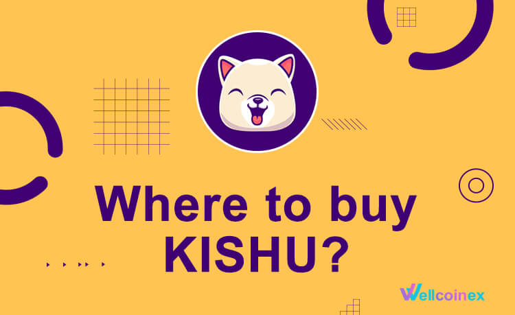 Where to buy KISHU