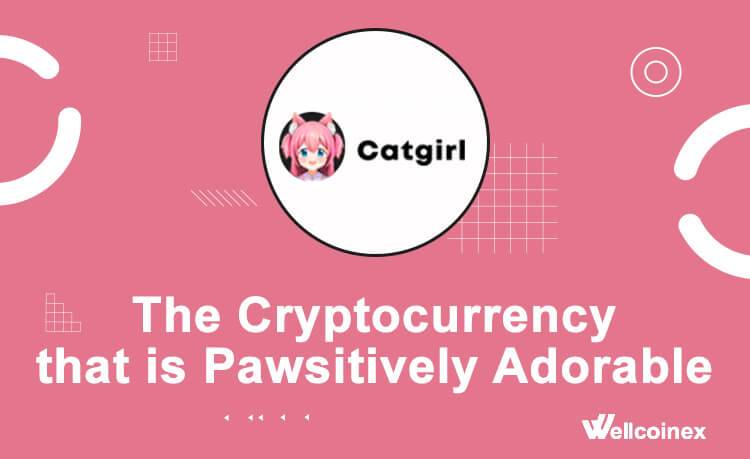 how to buy catgirl coin