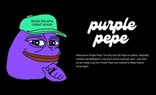 Purple Pepe Meme Coin: Outline and Opportunities